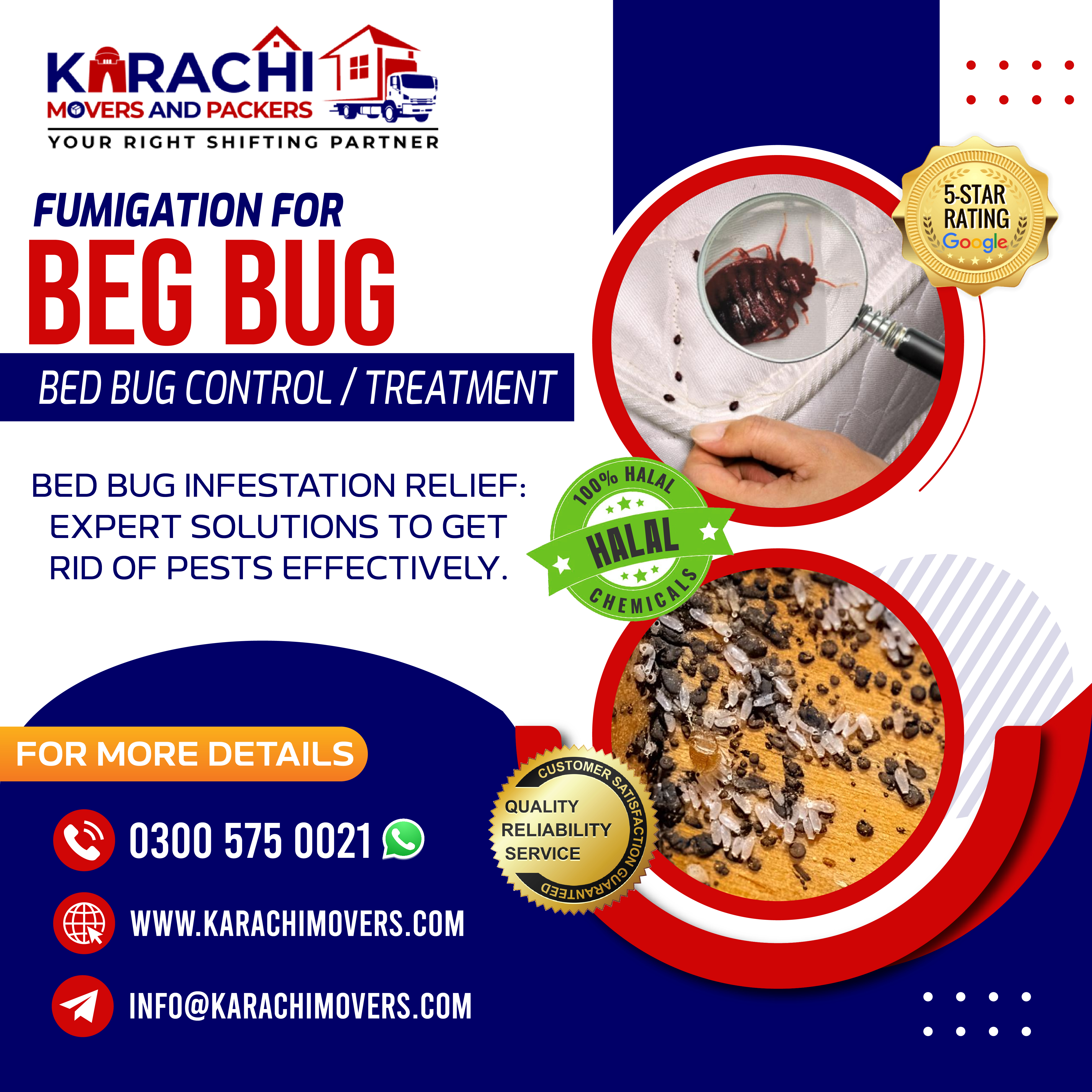 Best-Fumigation-for-Bed-Bugs